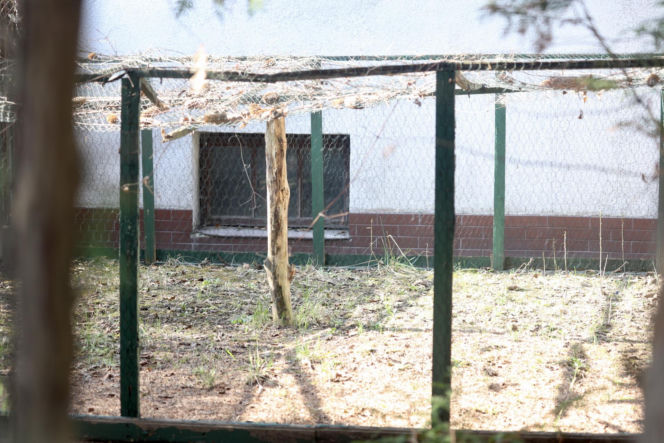 Tak teraz wygląda dom Jarosława Kaczyńskiego