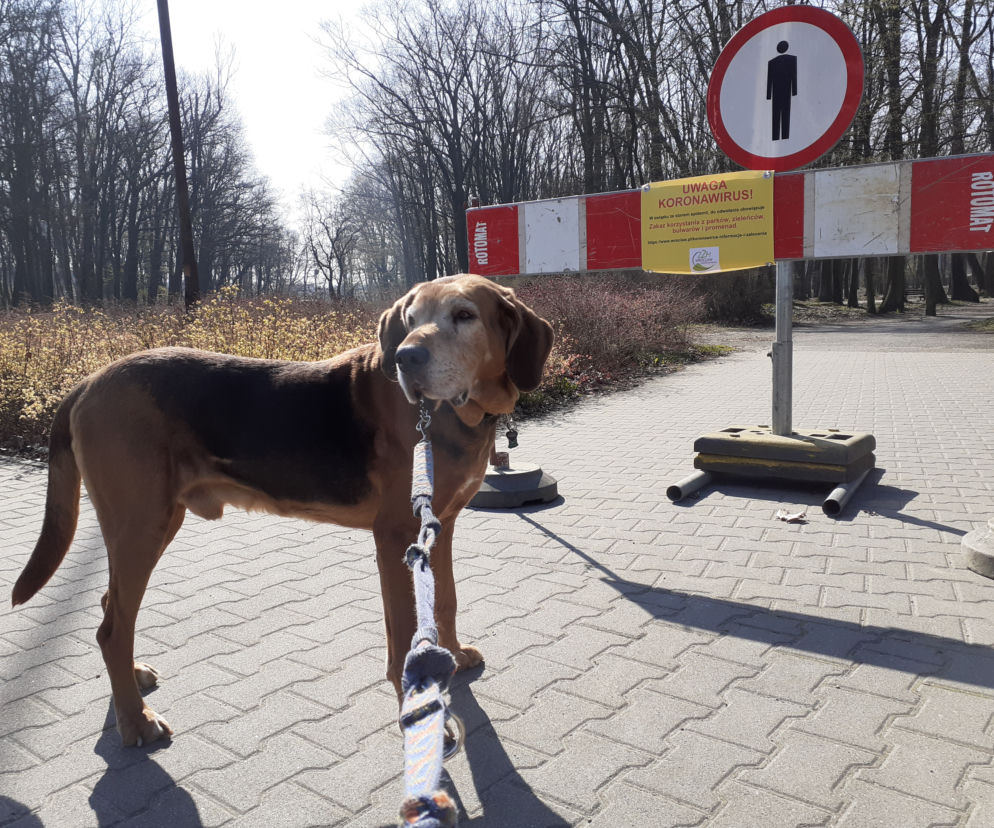 Zamknięte parki