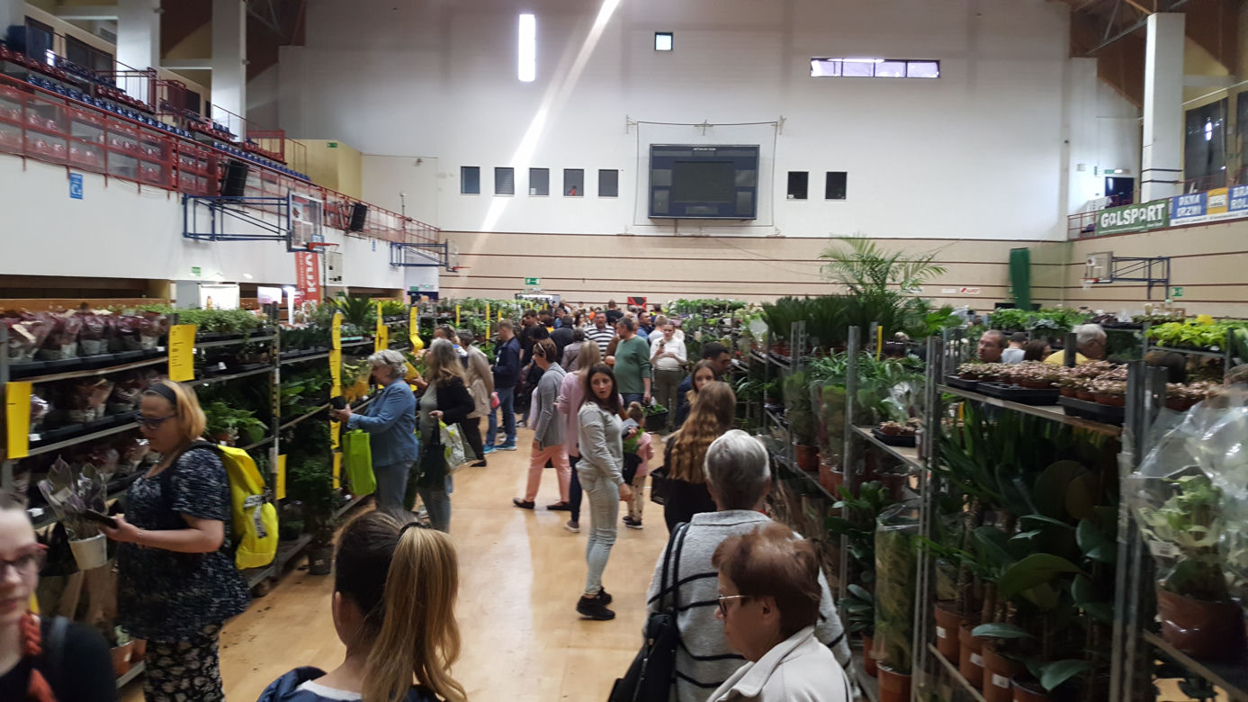 Festiwal Roślin w Nowym Sączu