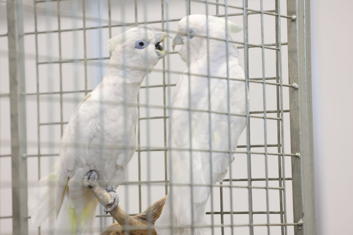 ZooPark 2023 w Lublinie przyciągnął tłumy!