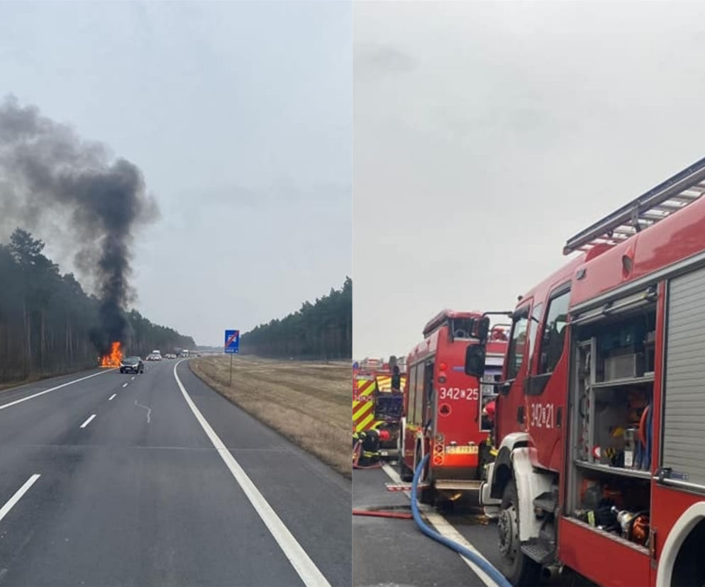 Pożar na obwodnicy w Toruniu. Płonęło auto
