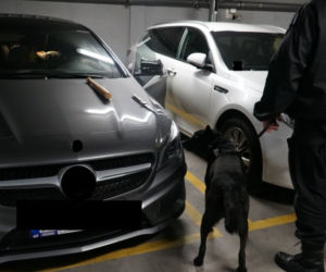 Antyterroryści w domu złodziei samochodów. Zobacz, jak wyglądała akcja