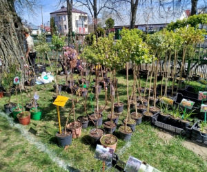 Impreza Wiosna na polu i w ogrodzie odbyła się w Siedlcach już po raz 18.