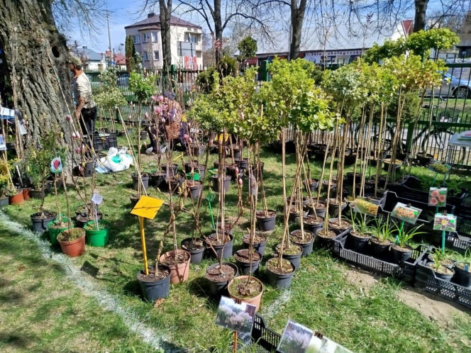 Impreza Wiosna na polu i w ogrodzie odbyła się w Siedlcach już po raz 18.