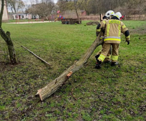 Interwencje Strażaków przy likwidacji szkód spowodowanych przez gwałtowny wiatr i burze
