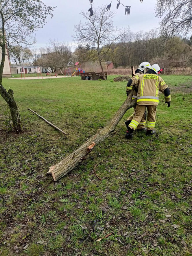 Interwencje Strażaków przy likwidacji szkód spowodowanych przez gwałtowny wiatr i burze