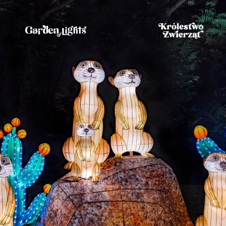 Garden of Lights