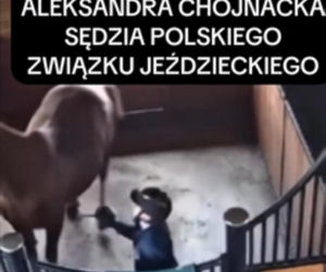 Sędzia jeździectwa biła i kopała konia