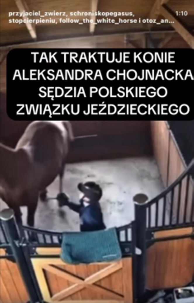"Sędzia jeździectwa biła i kopała konia"