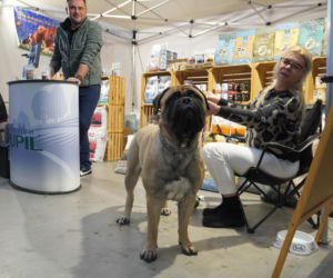 Międzynarodowa Wystawa Psów Rasowych Duo Cacib Kielce 2025