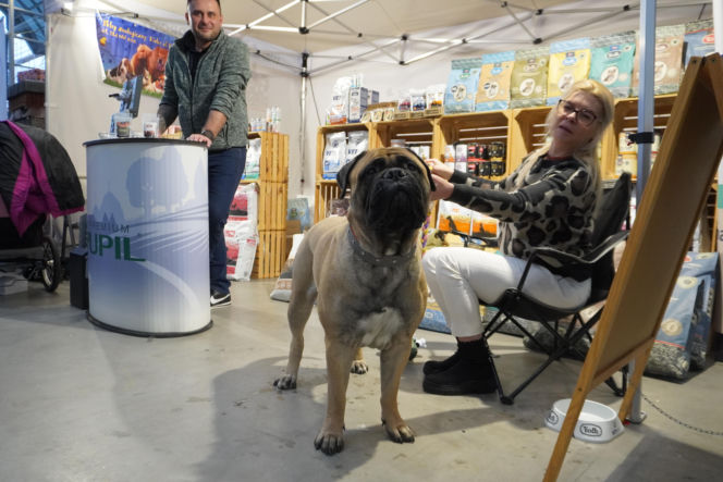 Międzynarodowa Wystawa Psów Rasowych Duo Cacib Kielce 2025