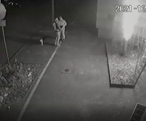 Palma przy siedzibie strostwa została zniszczona