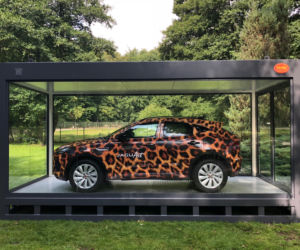 Jaguar w gdańskim zoo [ZDJĘCIA]
