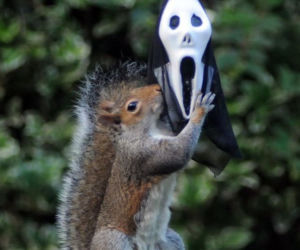 Halloween 2013