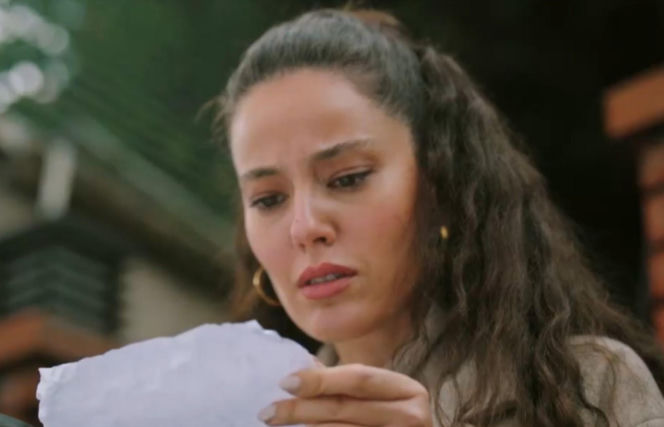 Złoty chłopak odcinek 278