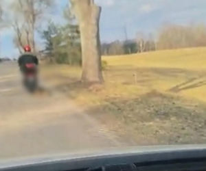 72-latek ciągnął psa za motorowerem. Zwierzę nie przeżyło