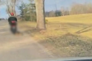 72-latek ciągnął psa za motorowerem. Zwierzę nie przeżyło