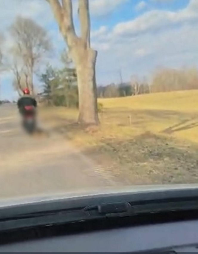 72-latek ciągnął psa za motorowerem. Zwierzę nie przeżyło