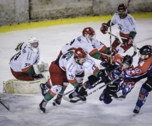 Zagłębie Sosnowiec - KH Energa Toruń 3:5, zdjęcia z meczu