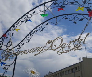 Zaczarowany ogród w Bydgoszczy