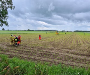 Jatwieź Duża. Wypadek: Kierowca renault rozbił się na drzewie [ZDJĘCIA]