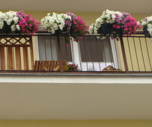 Najpiękniejsze balkony w Starachowicach