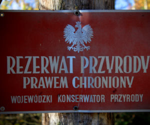 Rezerwat nad jeziorem Świdwie