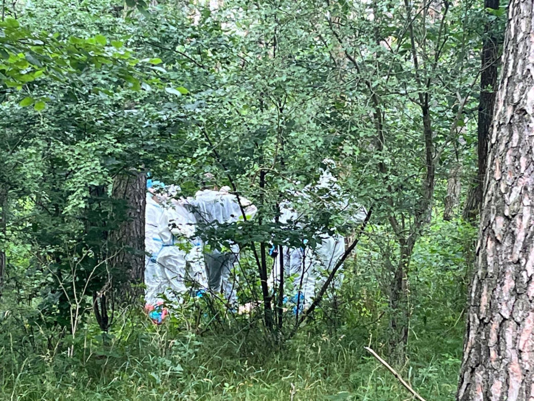 Zaginiona Natalia nie żyje! Jej ciało znaleziono w lesie. Policjanci zatrzymali męża 39-latki