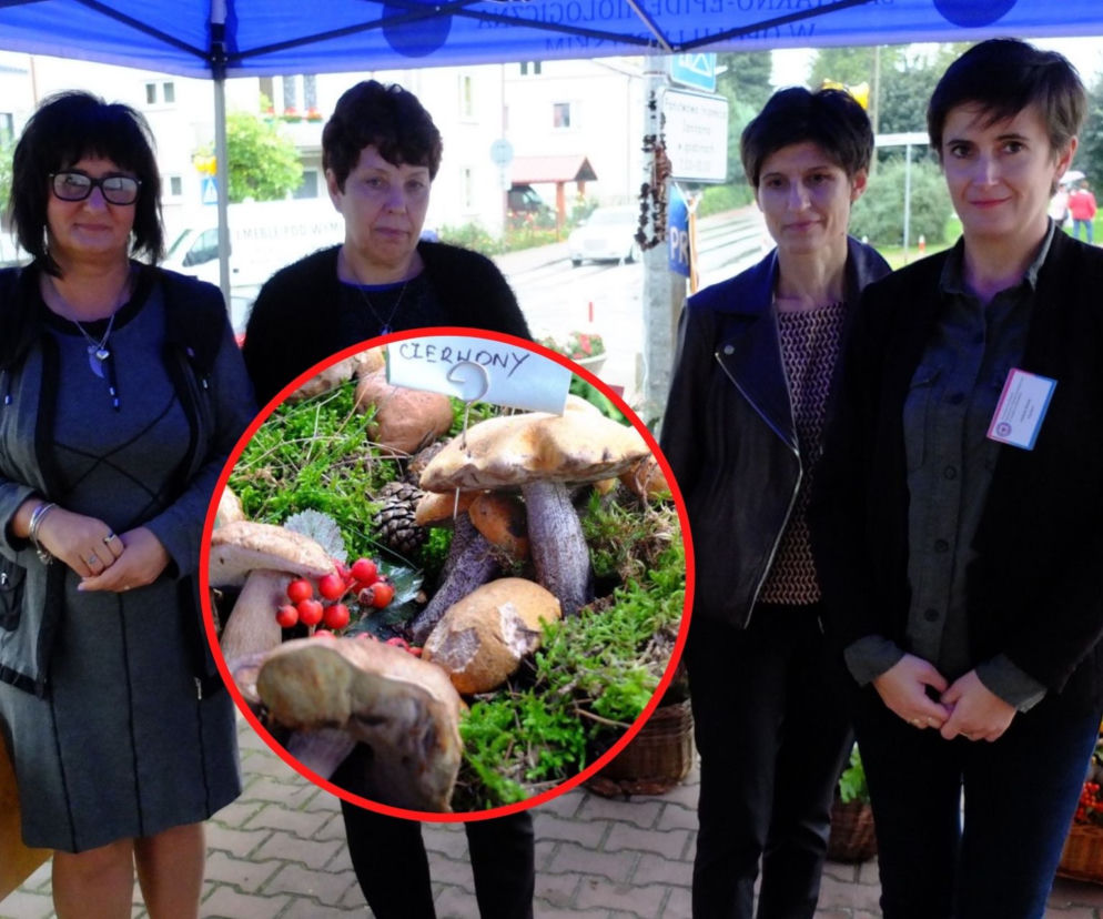 Opole Lubelskie: Zebrały grzyby, żeby… uratować grzybiarzy [ZDJĘCIA]