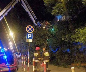 Żoliborz: Drzewo przygniotło samochód