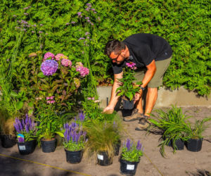 Murator Ogroduje, realizacje