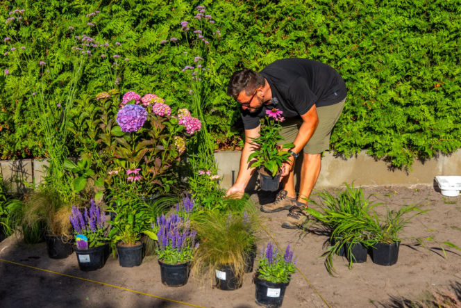 Murator Ogroduje, realizacje