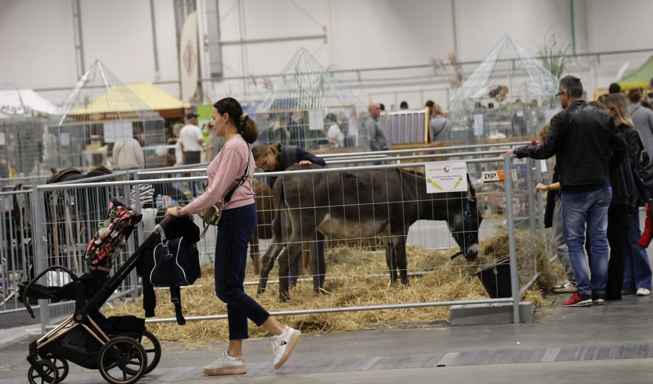 Zoopark 2023 w Lublinie