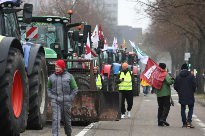 Wielkie protesty rolników w Europie! Zatrzymano Polaków