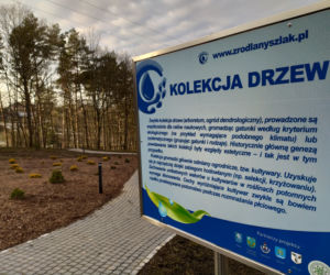 Park Zdrojowy w Ciężkowicach 