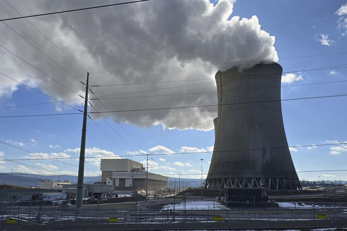 Joanna Senyszyn podbija internet. Sześć elektrowni atomowych w sto dni? "Ikona"