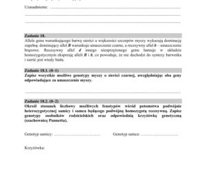 Matura 2020 ARKUSZE CKE z biologii POZIOM ROZSZERZONY 