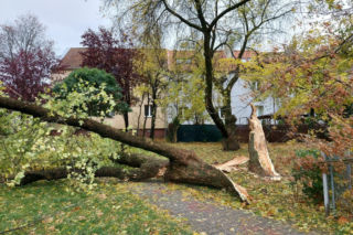 Pogodowy koszmar wróci do Polski? Alarm meteo dla regionów. Wiatr do 100 km/h!