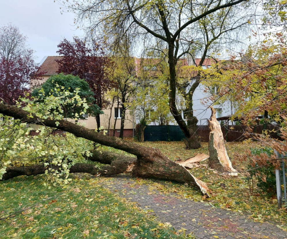 Wichura w powiecie olsztyńskim