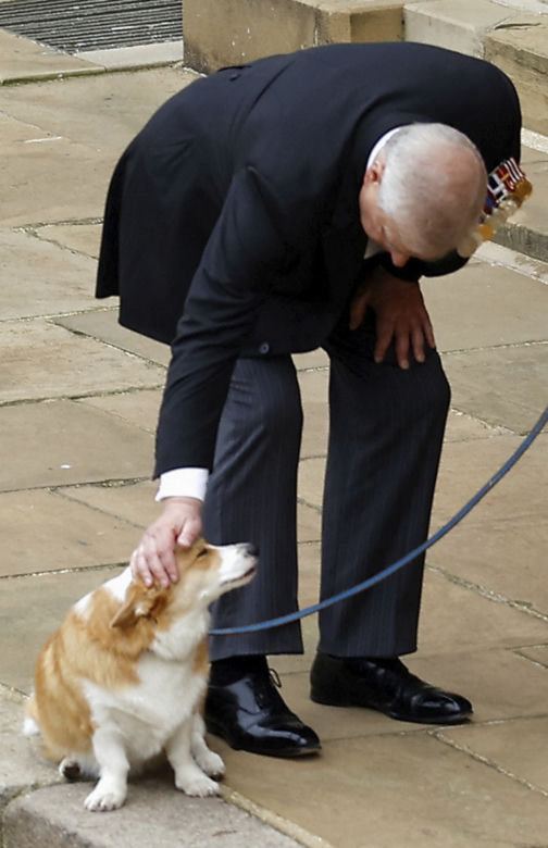 Ukochane corgi królowej były przy niej do końca. "Czuwały przy łożu śmierci"