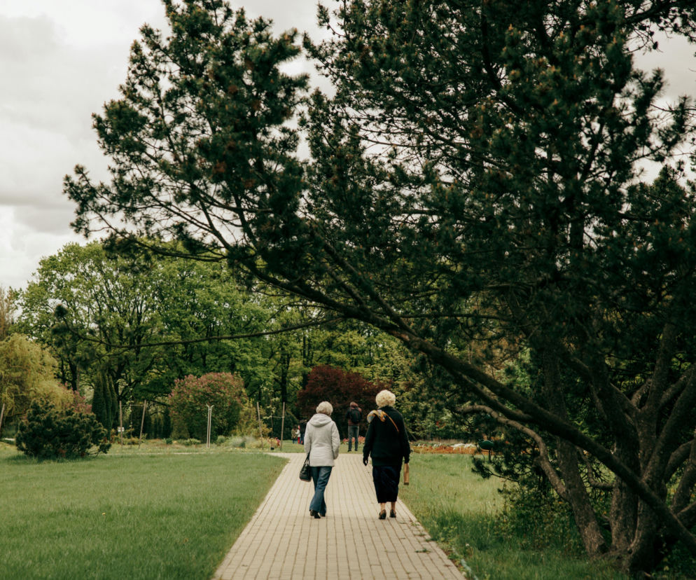 Pogoda na weekend w Lublinie