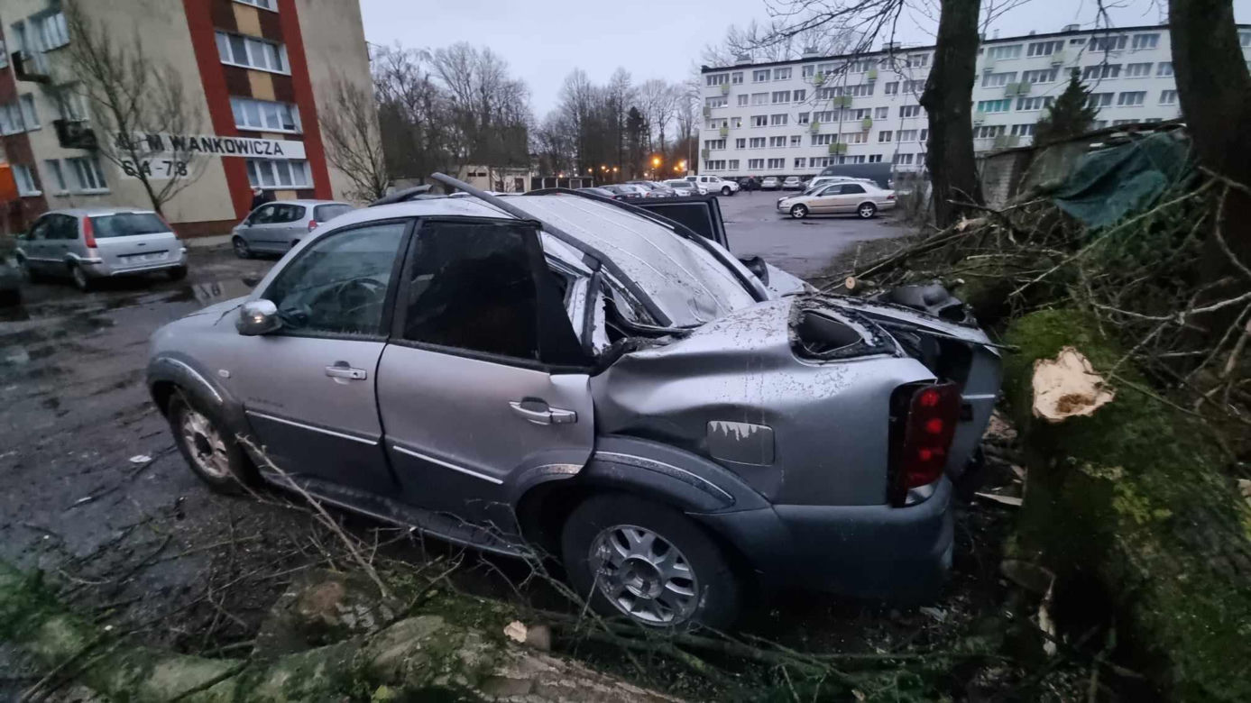 Powalone drzewa uszkodziły zaparkowane samochody