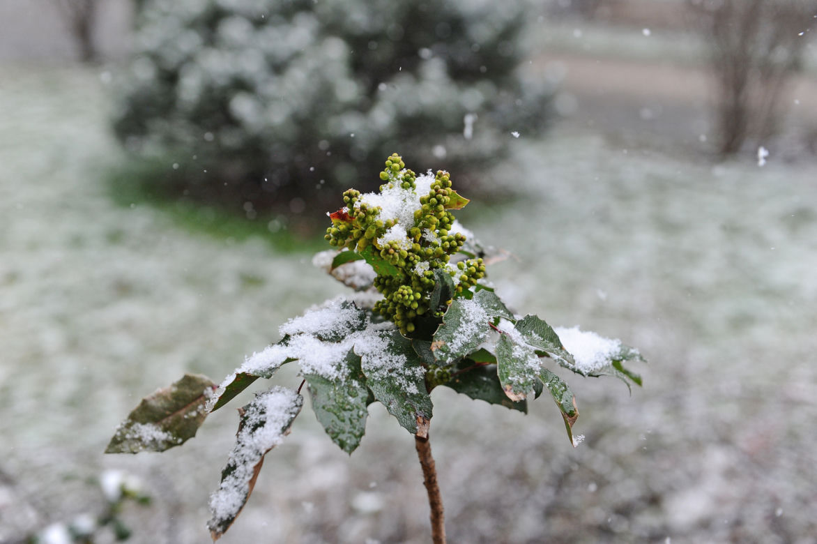 Śnieżyca nad Warszawą. Kiedy przestanie padać?