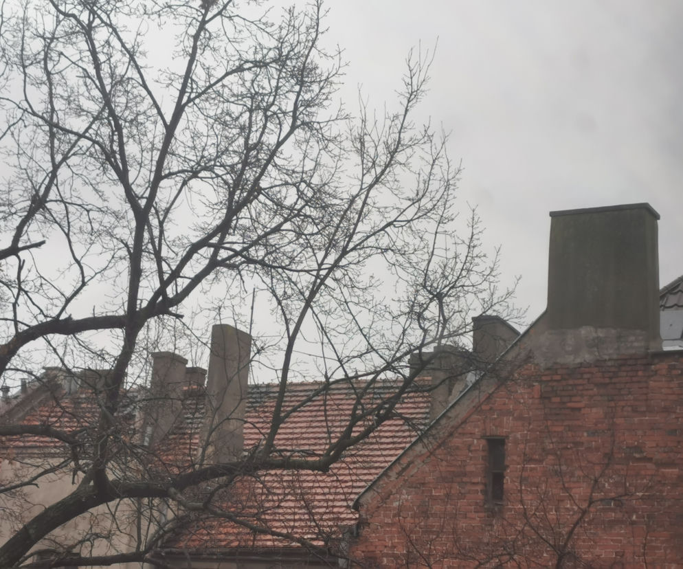 Wymień „kopciucha” na ekologiczne źródło ogrzewania