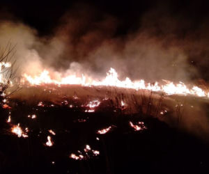NIE ŻYJE kobieta poparzona w pożarze traw! Seryjne podpalenia na Sądecczyźnie!