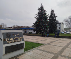 Choinka miejska Siedlce