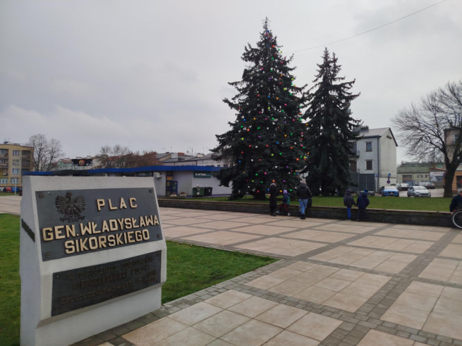 Choinka miejska Siedlce