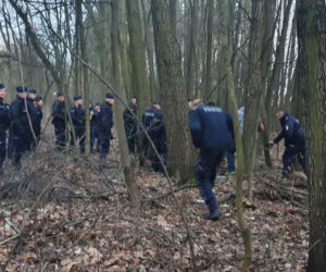 Dzik ZAATAKOWAŁ przechodniów na osiedlu w Krakowie. Są ranni [ZDJĘCIA]