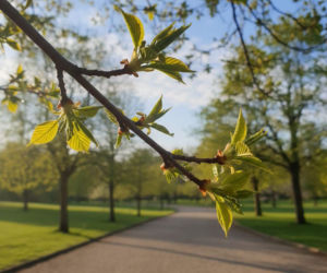 Pogoda na weekend w Warszawie 3-5 kwietnia. Temperatura podskoczy do 18 stopni