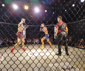 Fotorelacja z Gali Sportów Walki Taurus Fight Arena 2026 w Siedlcach